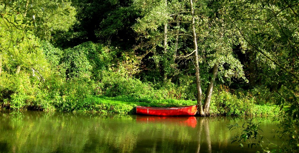 Natur pur genießen