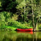 Natur pur genießen