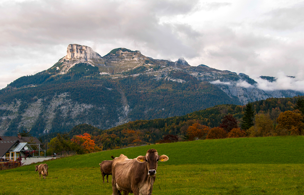 "Natur Pur" gibt es im Ausseerland zu sehen