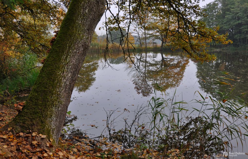 Natur pur. Herbst in Bayern