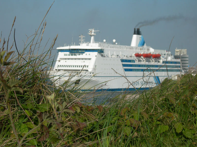 Natur pur im Hafen