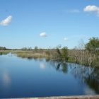 Natur pur im Hochmoor Lille Vildmose