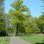 Natur pur im Leonhard-Eißnert-Park in Offenbach am Main