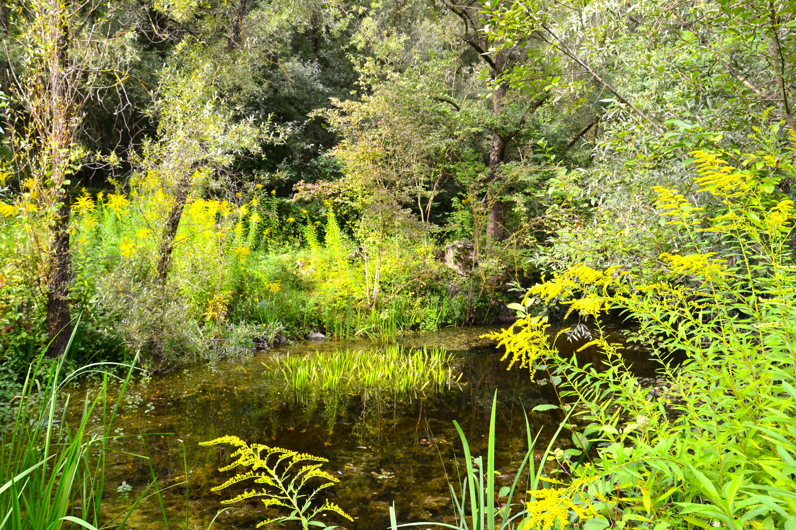 Natur pur im September