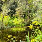 Natur pur im September