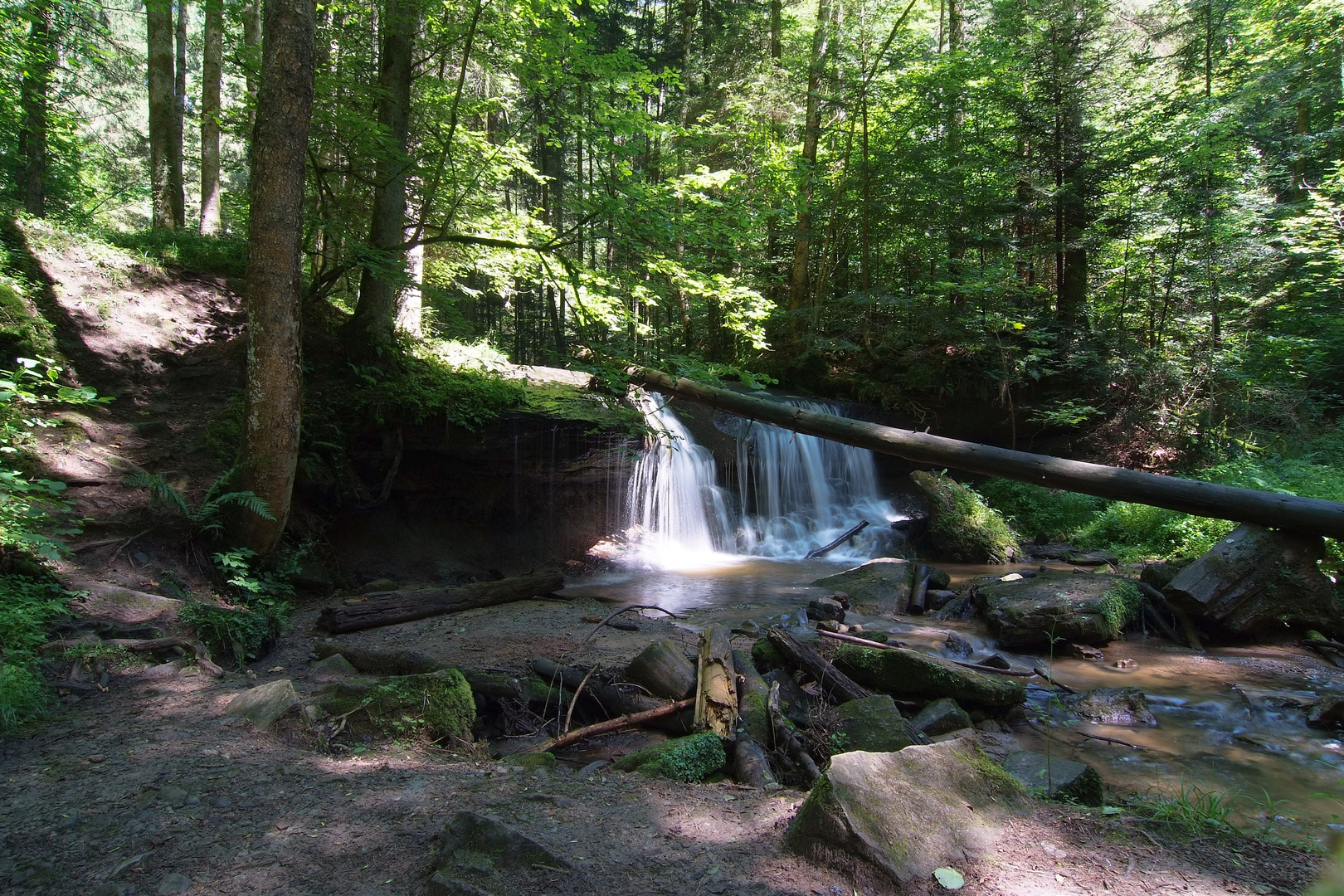 Natur pur im Welzheimer Wald