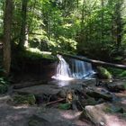 Natur pur im Welzheimer Wald