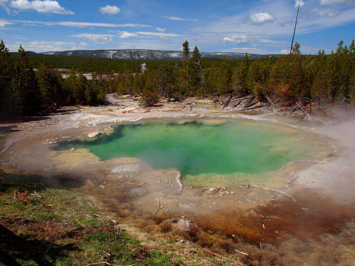 Natur pur im Yellowstone NP