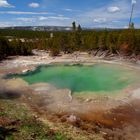 Natur pur im Yellowstone NP