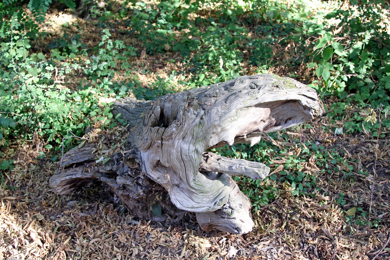 Natur pur im Zoo Heidelberg