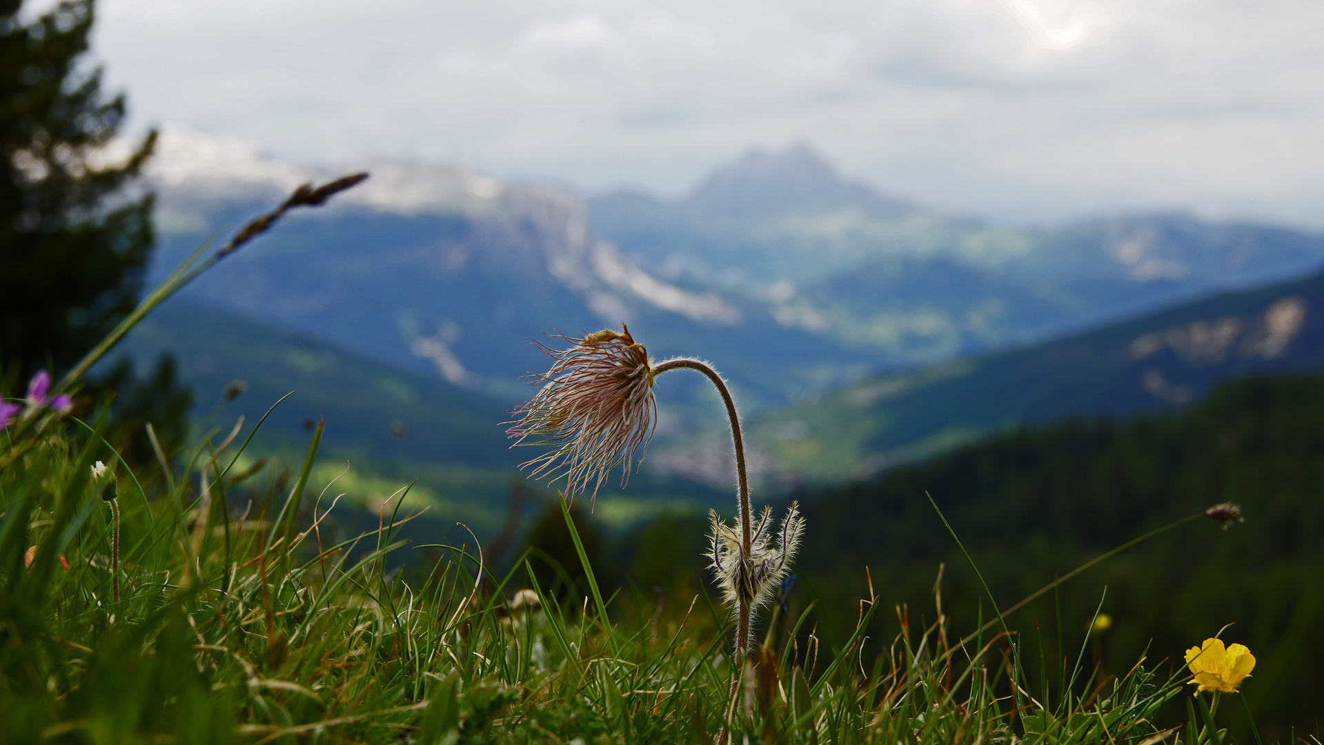 Natur pur - in den Dolomiten