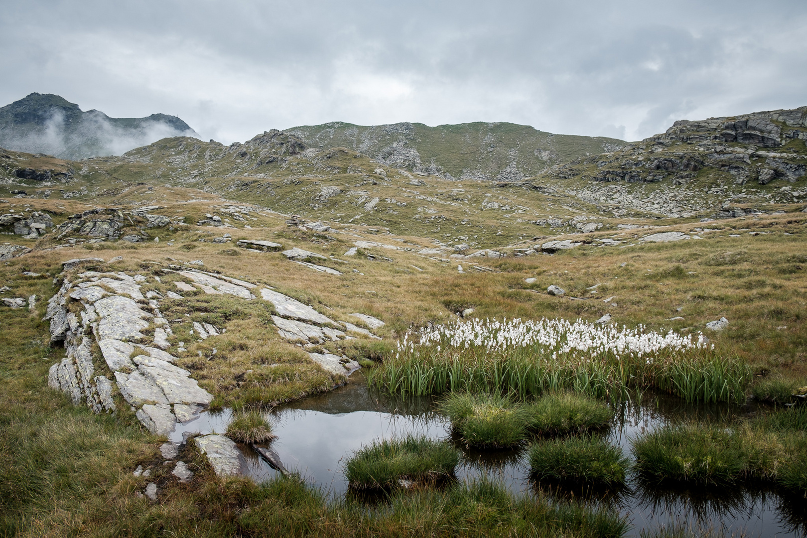 Natur pur in den Osttiroler Bergen