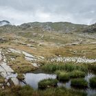 Natur pur in den Osttiroler Bergen