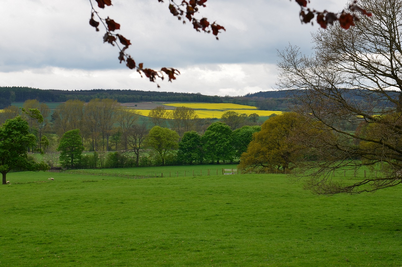 natur pur in den weiten der schafzüchter