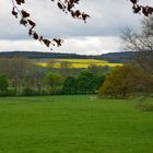 natur pur in den weiten der schafzüchter