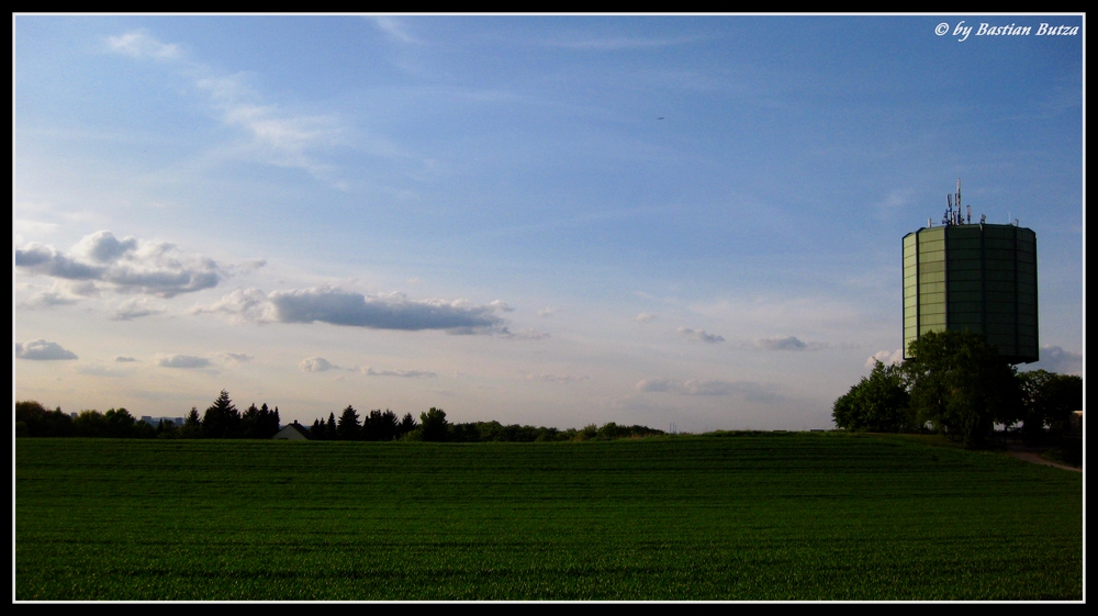 Natur Pur in einer Großstadt