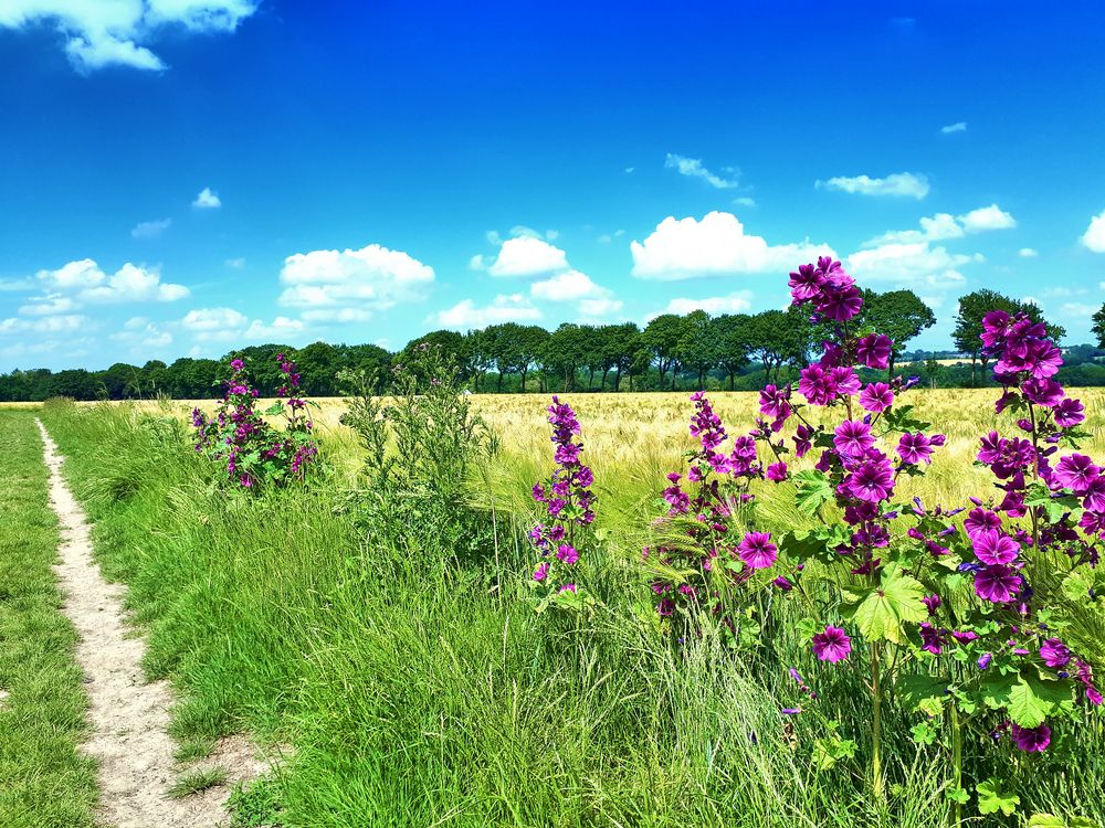 Natur pur in Gelsenkirchen