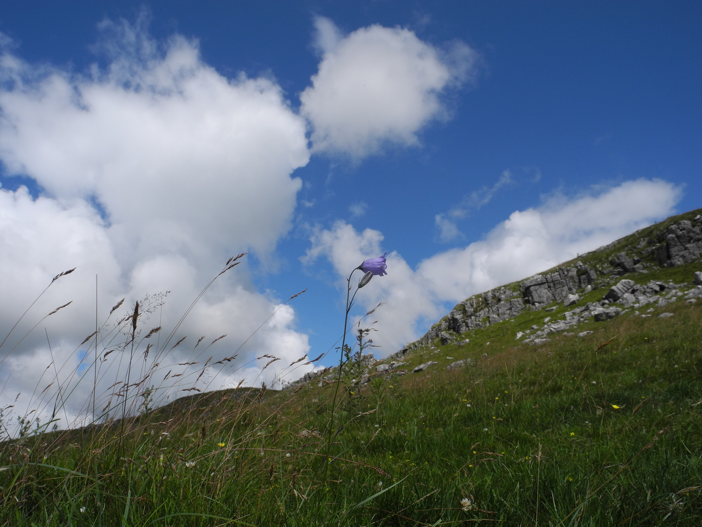 Natur pur in Malham