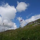 Natur pur in Malham