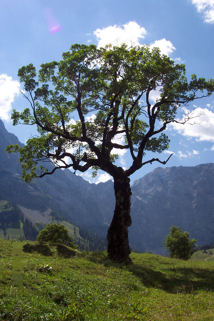 Natur pur in Österreich