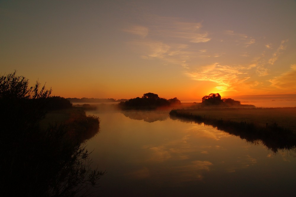 Natur pur in Worpswede