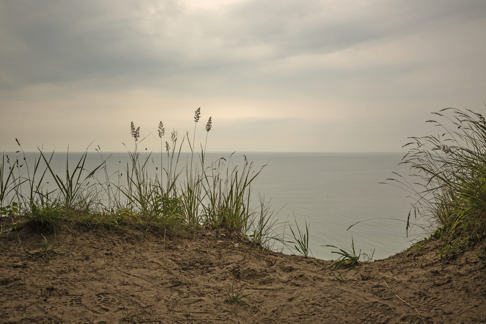 Natur pur - Insel Rügen