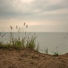 Natur pur - Insel Rügen