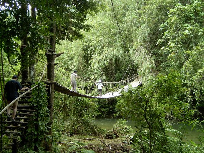 Natur pur (Jungle Khao Lak)