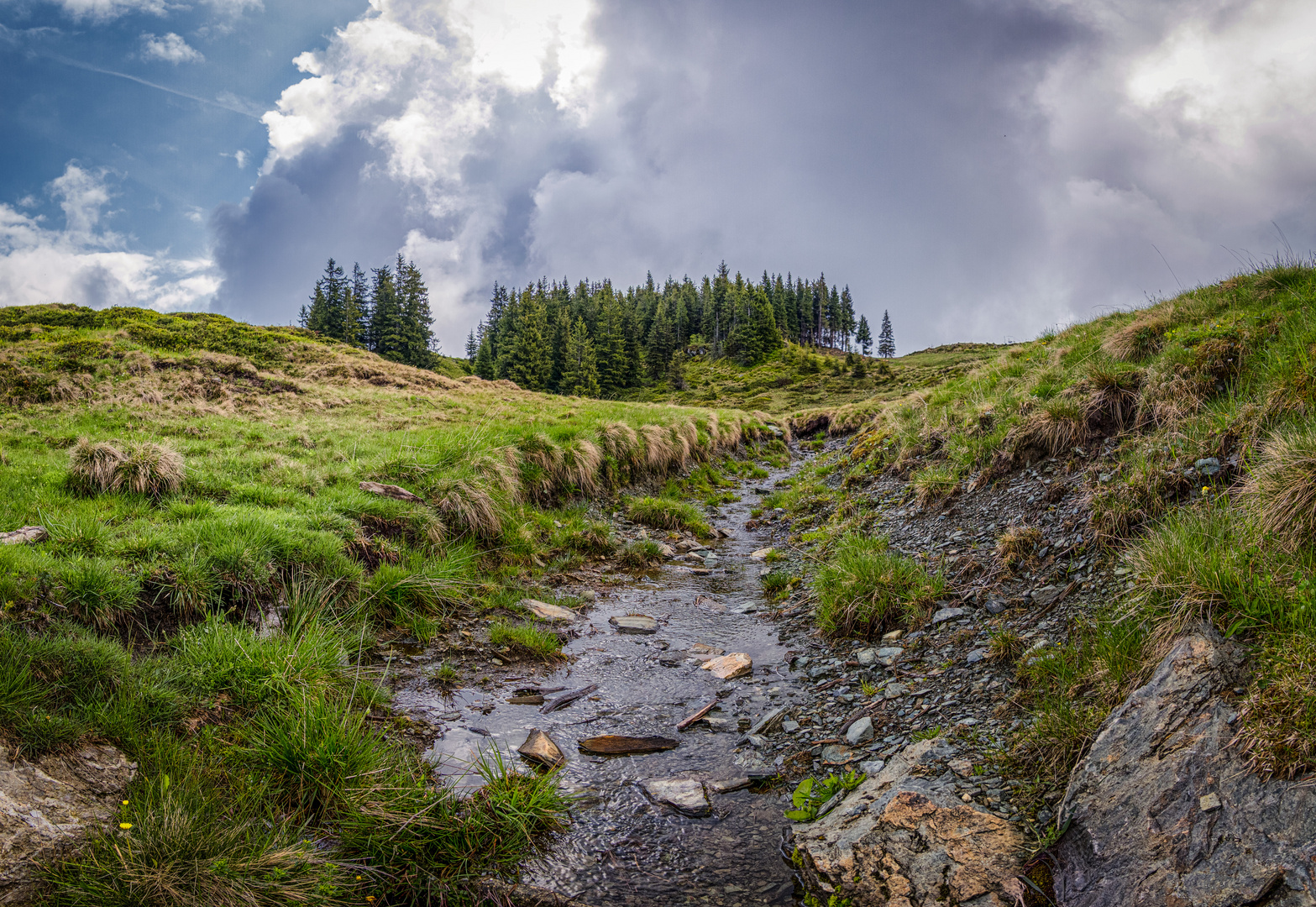 Natur pur - Kitzbüheler Alpen