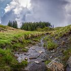 Natur pur - Kitzbüheler Alpen