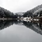 Natur pur, künstlich erschaffen