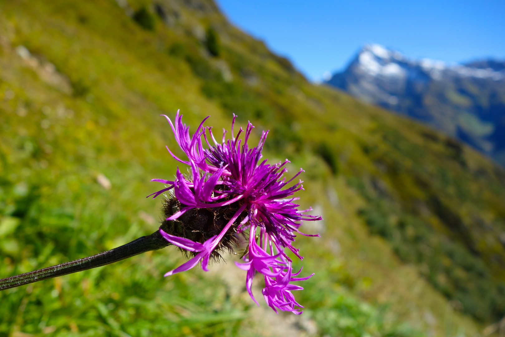 Natur Pur ! Maderanertal Uri ( Schweiz)