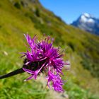 Natur Pur ! Maderanertal Uri ( Schweiz)