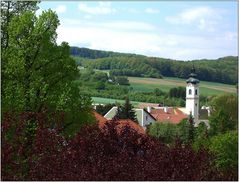 ... Natur pur mit Kirchturm ...