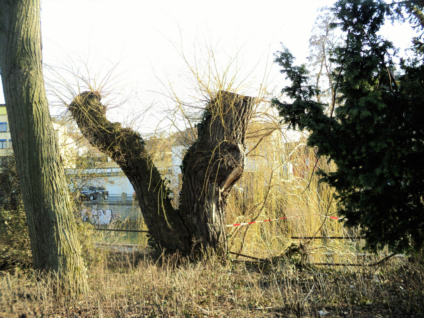 ""Natur pur mitten in Bayreuth ""