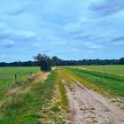 Natur Pur Moorvenweg, Enschede, Niederlande