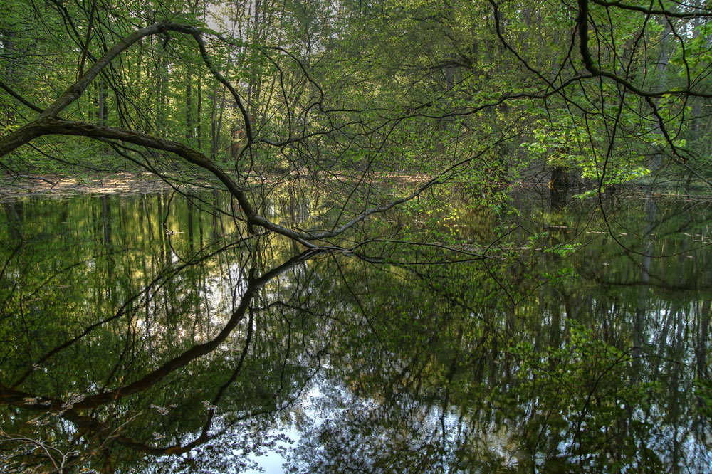 Natur pur Müritzrundweg