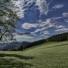 Natur pur... Nähe Olsberg...