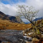 Natur pur - ohne Fremdkörper