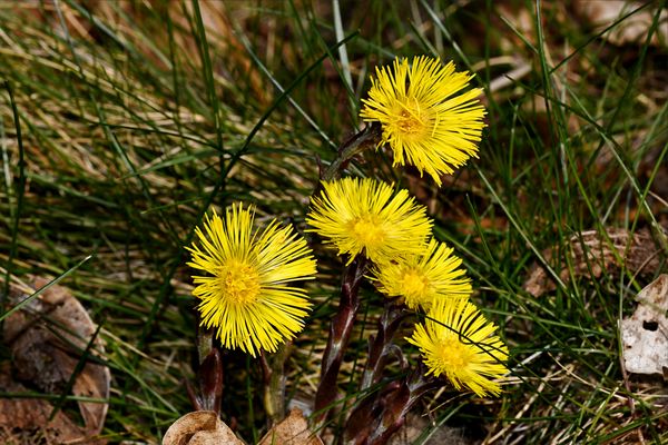 Natur pur, so wie ich sie mag.