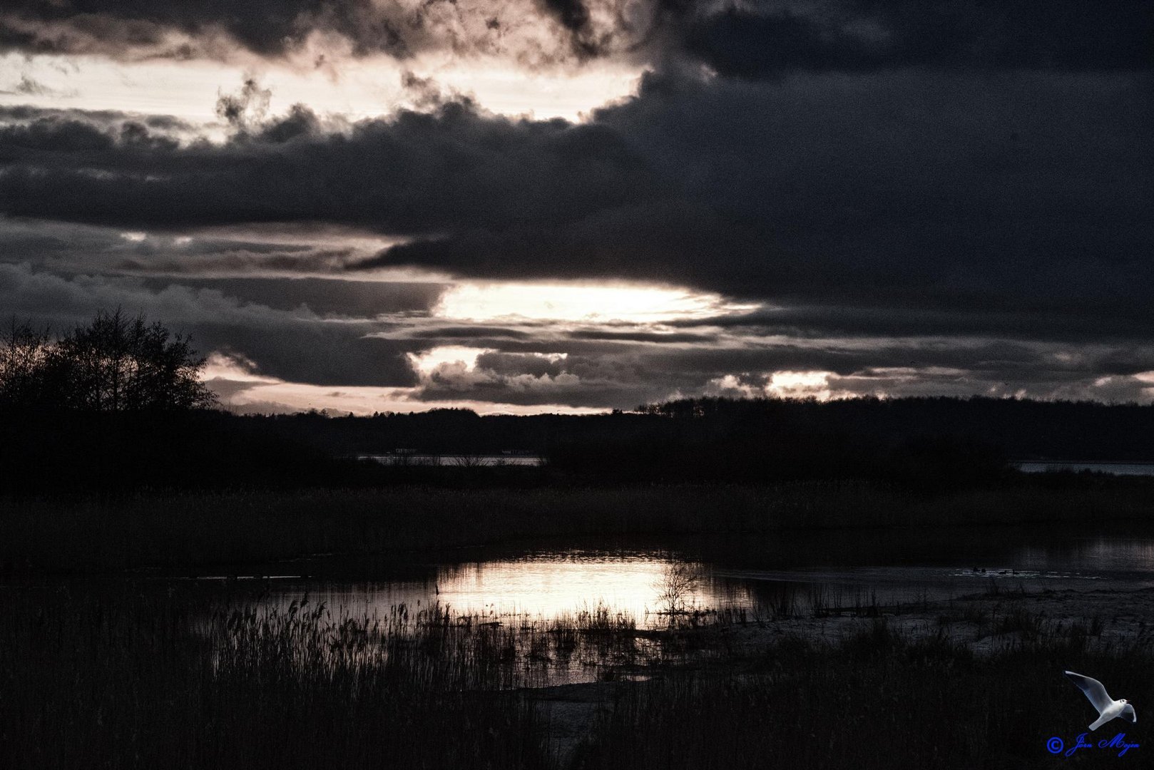 Natur pur, sowohl im Himmel als auch auf Erden