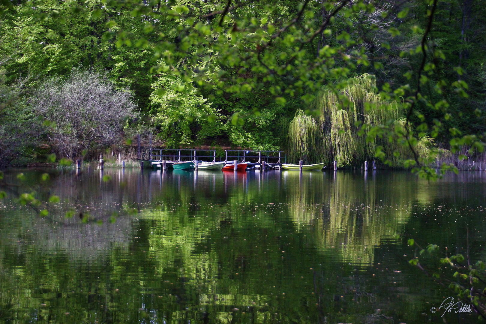 " Natur pur "             Spiegeldienstag 10.05.2021