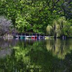 " Natur pur "             Spiegeldienstag 10.05.2021