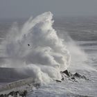 Natur pur (Sturmflut Helgoland 2011)