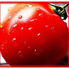 Natur pur: Tomate