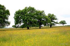 Natur pur um Taizé