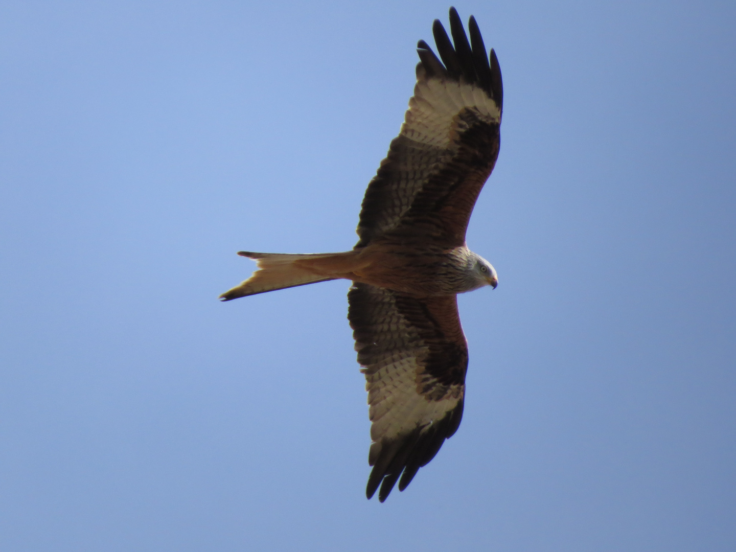 Natur pur unbearbeitet 