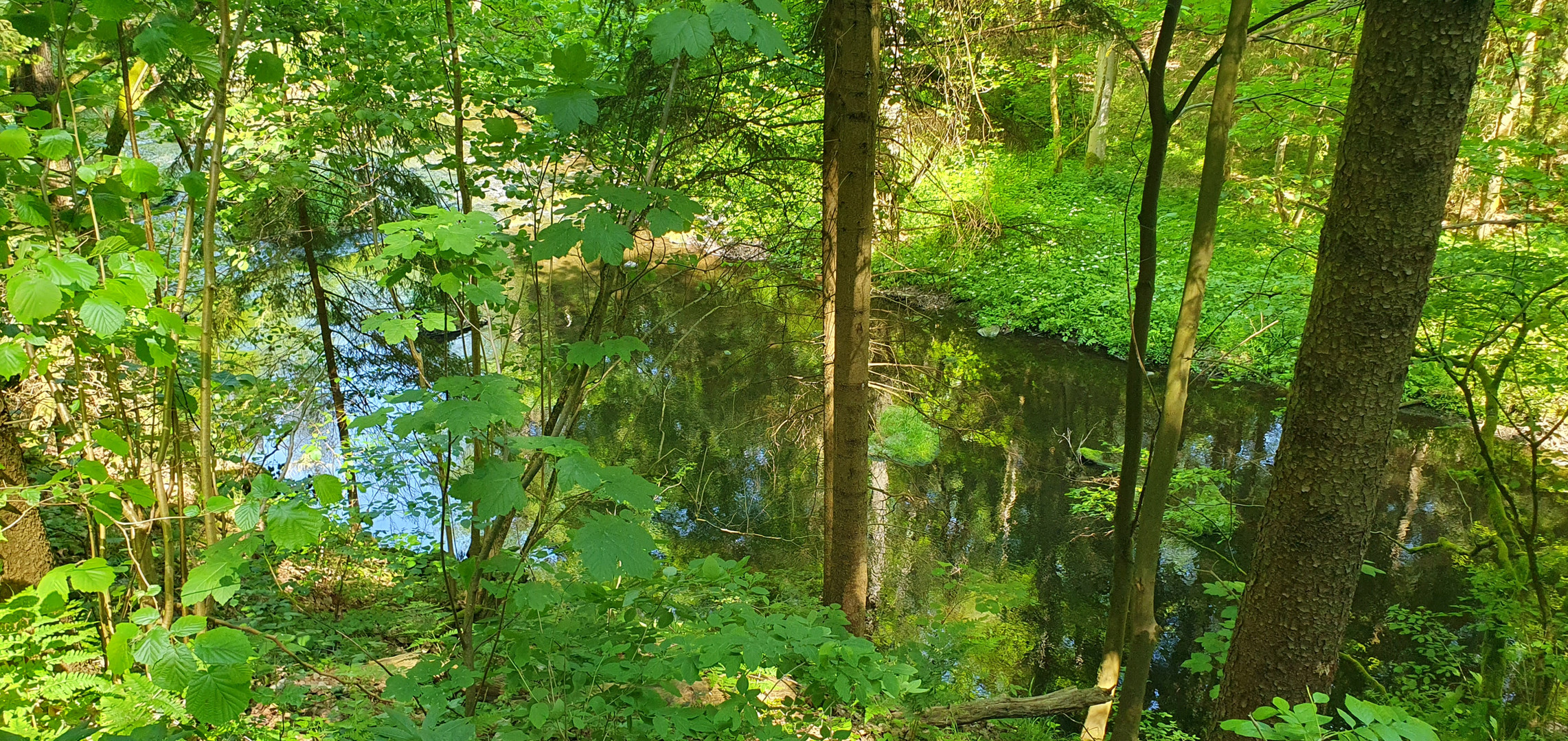 Natur pur und herrliches Grün...