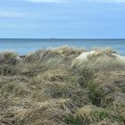 Natur pur zwischen Warnemünde und Wilhelmshöhe