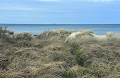 Natur pur zwischen Warnemünde und Wilhelmshöhe